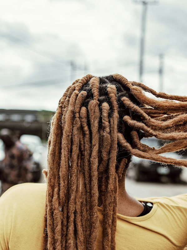 Locs by Kevo photo 4 of 8